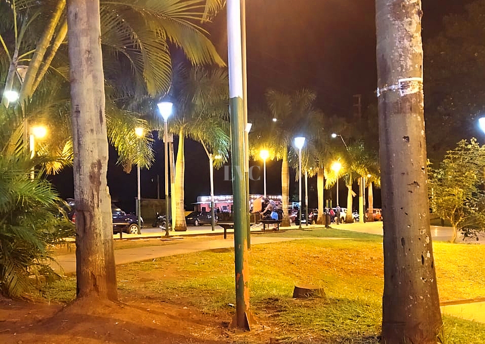 Se electrocutó un perro en un poste de luz, en plena plaza San Martín - La  Voz de Cataratas