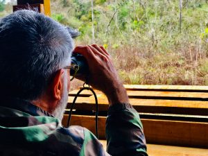 Observatorio de aves » Daniel Pupi Somay», el primero dentro de un área protegida | La Voz de Cataratas