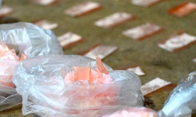 La cocaína adulterada que mató a 24 personas contenía piperidina.