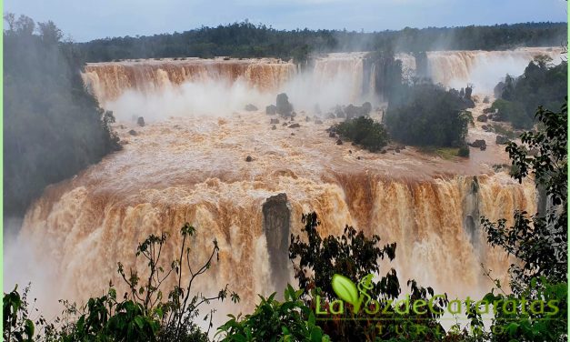 Cataratas: el 75% de los circuitos del Parque Nacional Iguazú están habilitados