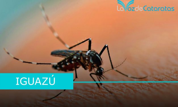 Impactante testimonio sobre el dengue: una lucha personal con el virus