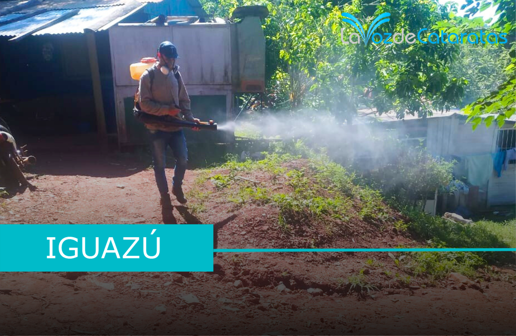 Dengue iguazu