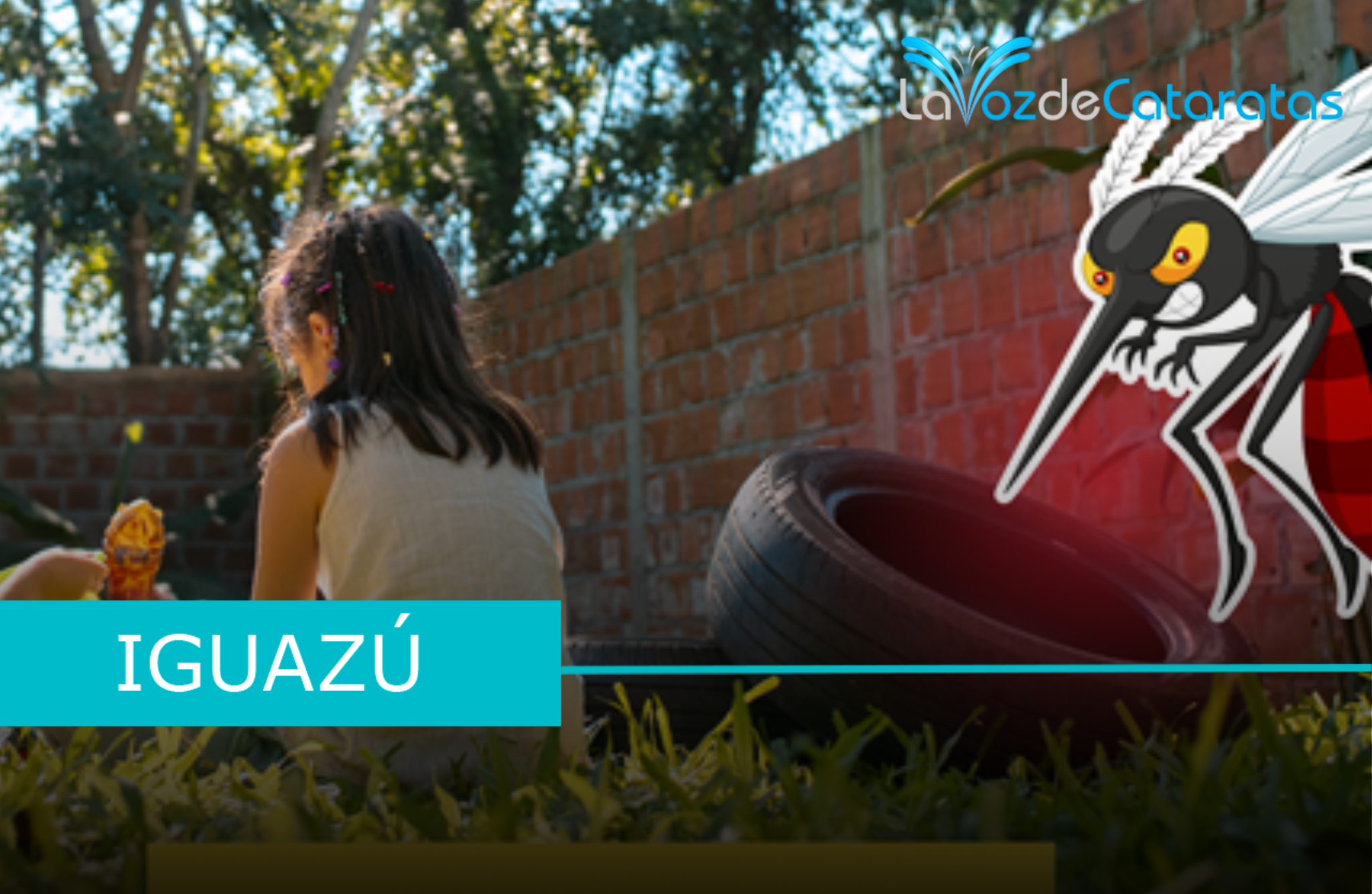 dengue prevencion