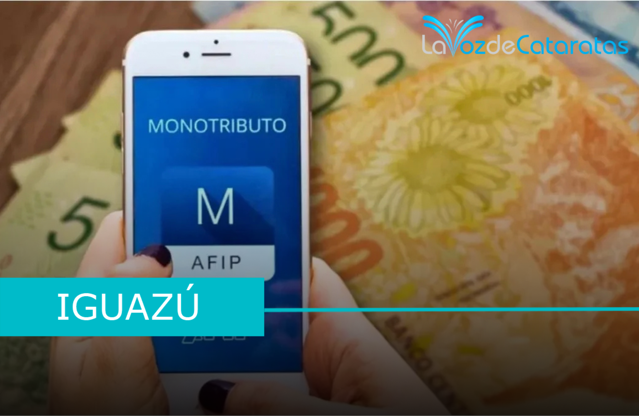 monotributo