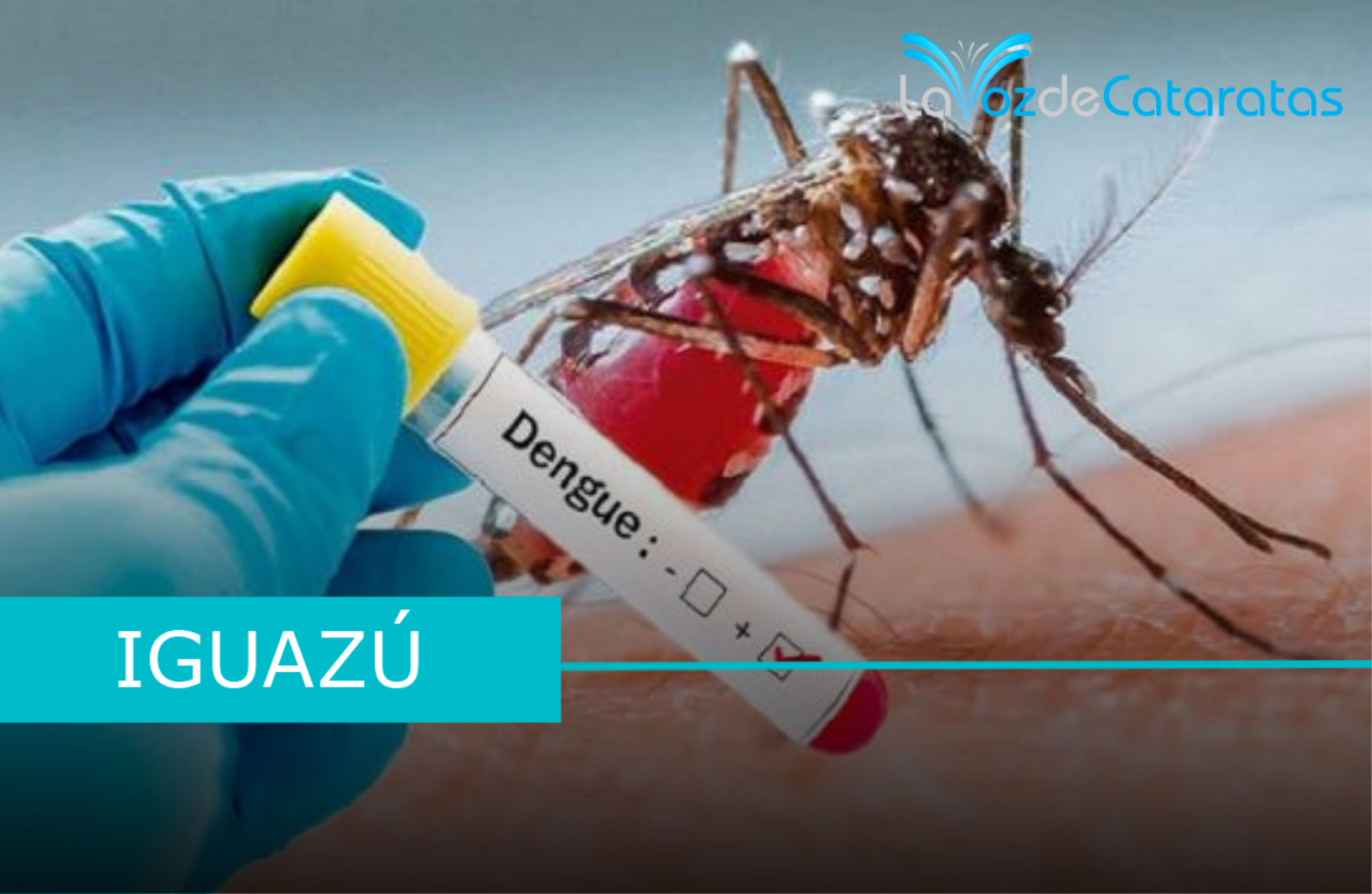 vacuna dengue