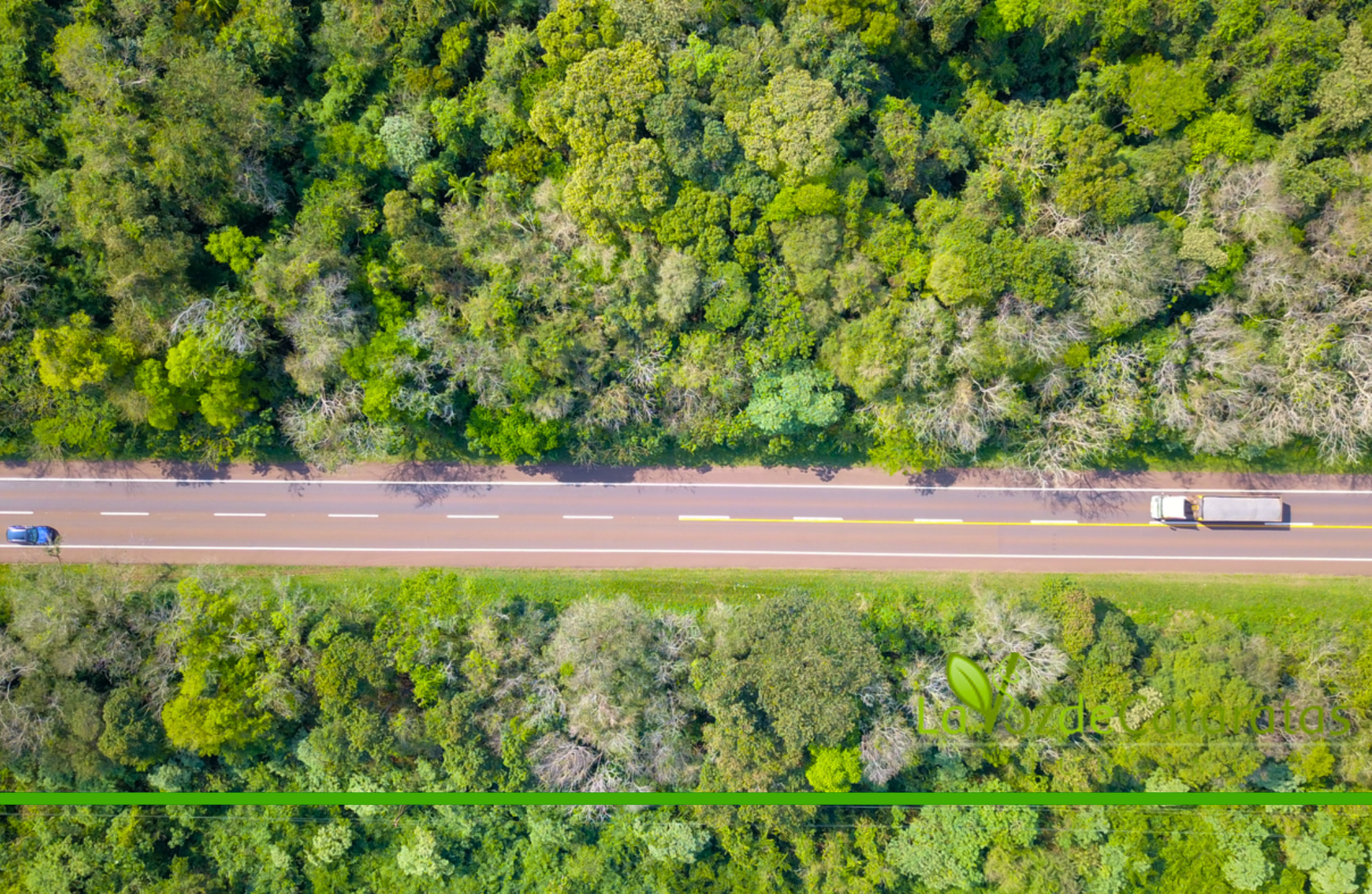 Cuidá la selva: un llamado a la conciencia en las rutas este fin de semana largo imagen-6