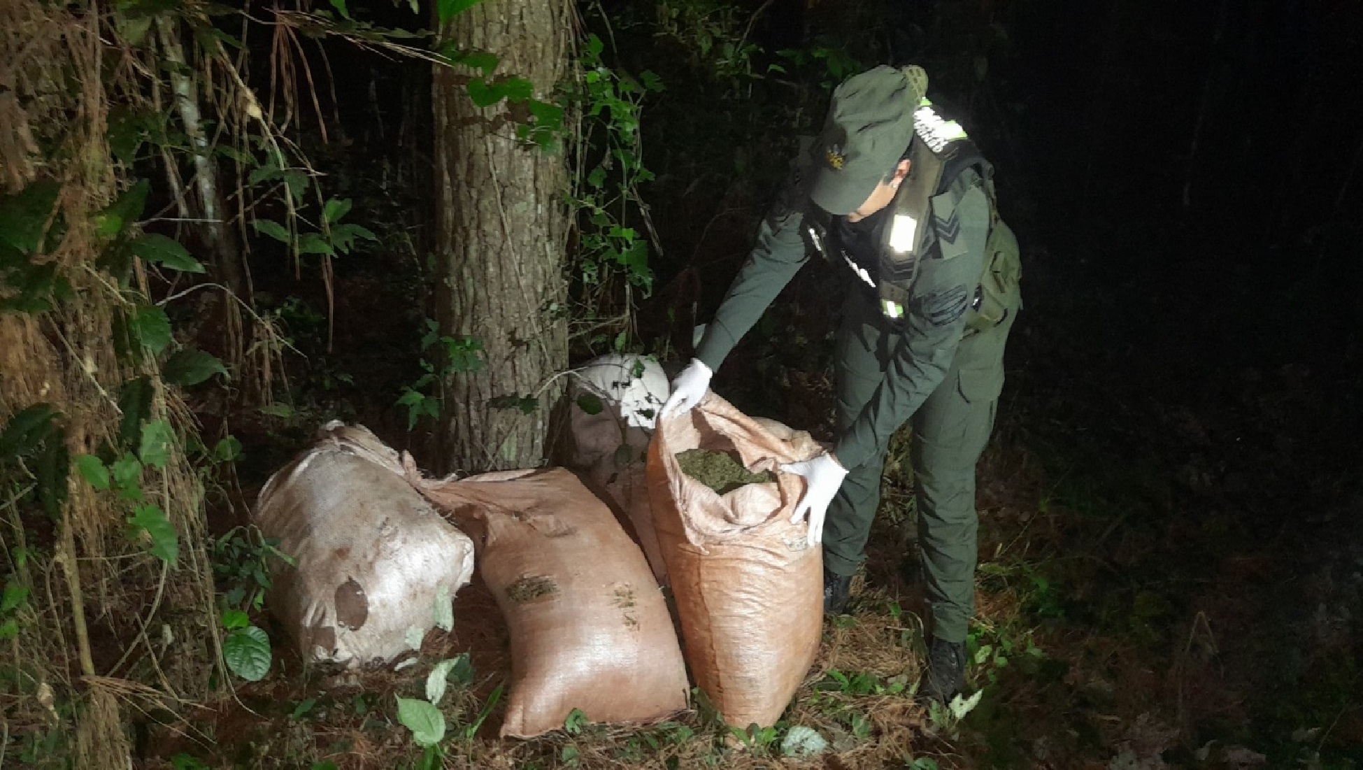 Patrullas de Gendarmería detectaron más de 235 kilos de marihuana en dos operativos realizados en Misiones 7 Patrullas de Gendarmería detectaron más de 235 kilos de marihuana en dos operativos realizados en Misiones imagen-6