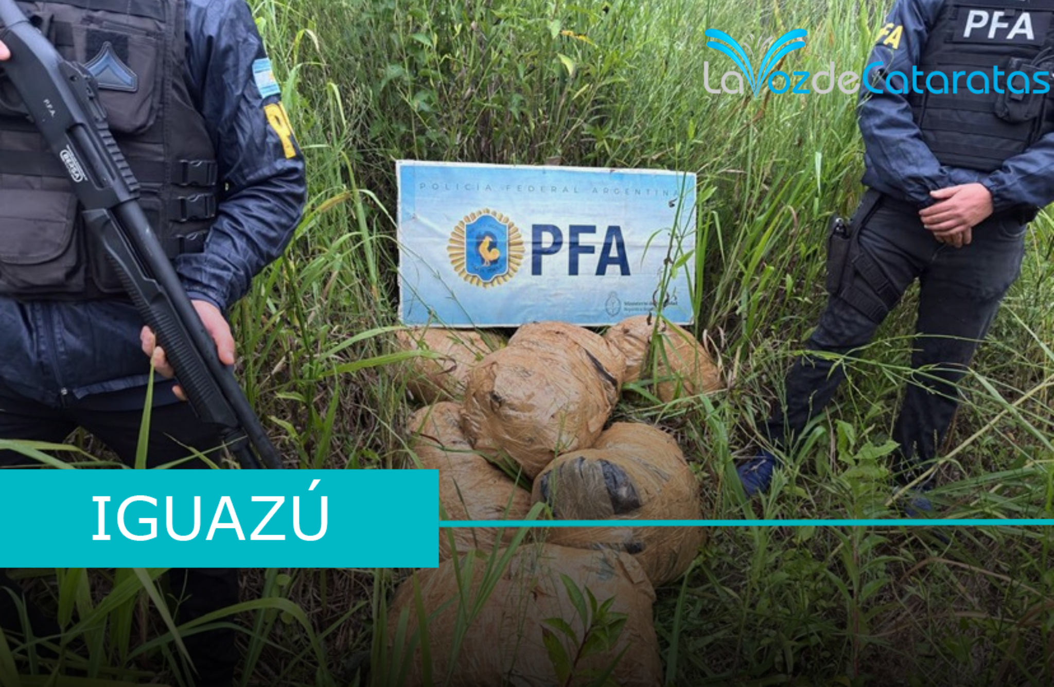 Operativo de la PFA: Secuestran más de 200 kilos de marihuana en un camino clandestino imagen-5