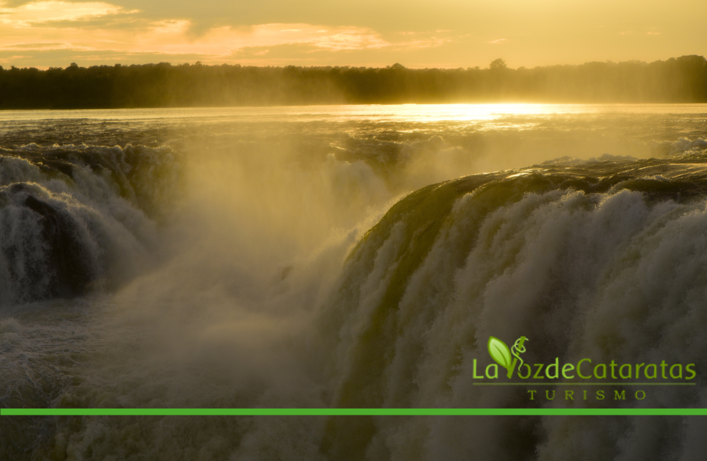 El verano en Iguazú no se mira: se vive. El destino que invita a sentir, descubrir y volver. imagen-10