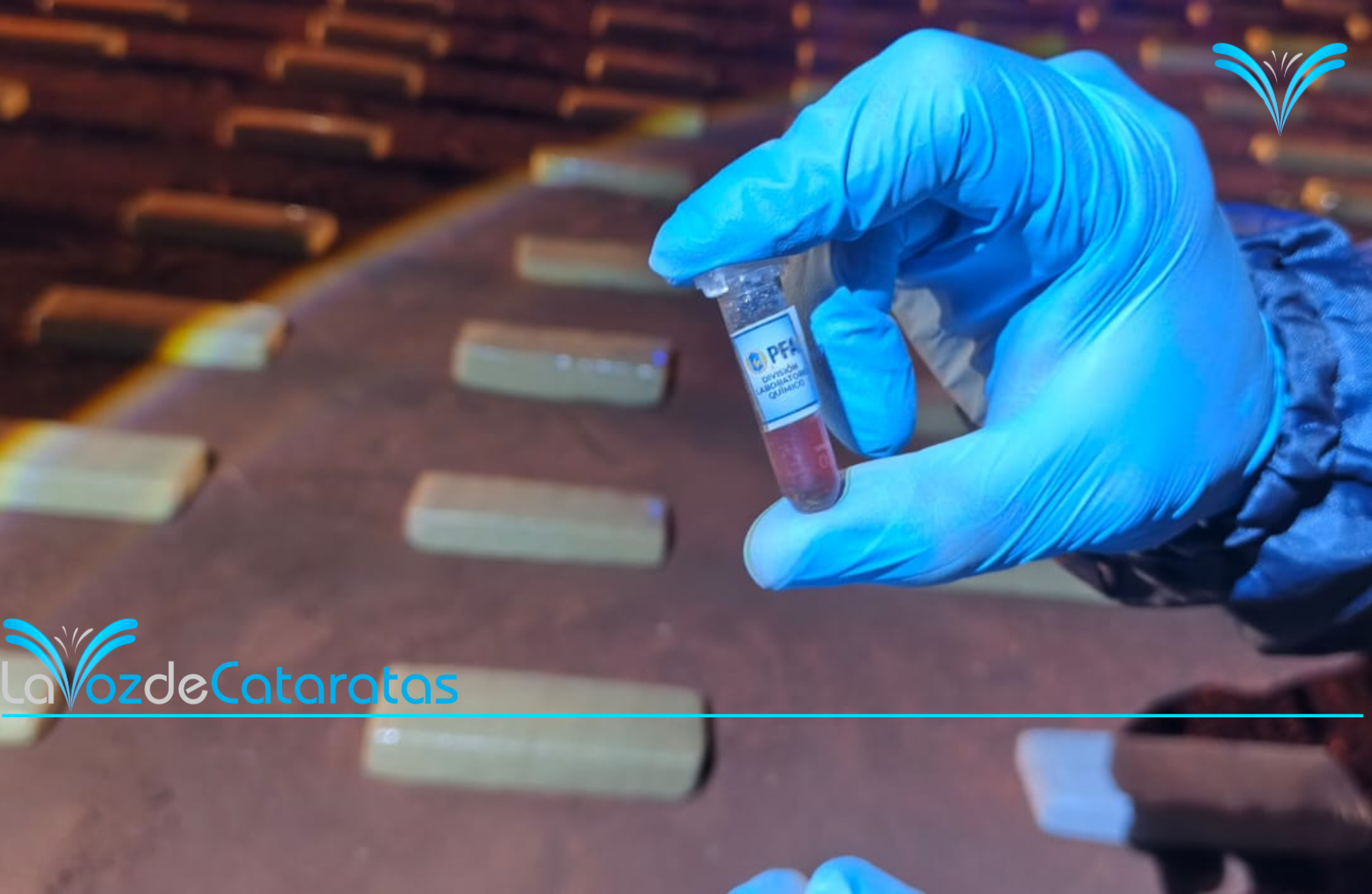 Drones y rastrillajes: la Policía Federal de Iguazú frustró el traslado de 200 kilos de marihuana 11 Drones y rastrillajes: la Policía Federal de Iguazú frustró el traslado de 200 kilos de marihuana imagen-10