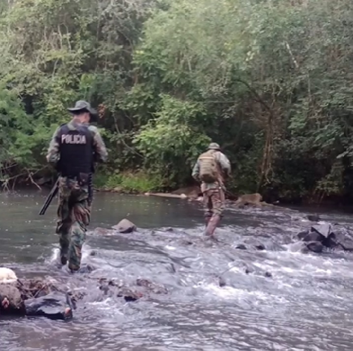 Desmantelaron trampas y campamentos ilegales de caza en el Parque Provincial Yacui imagen-5