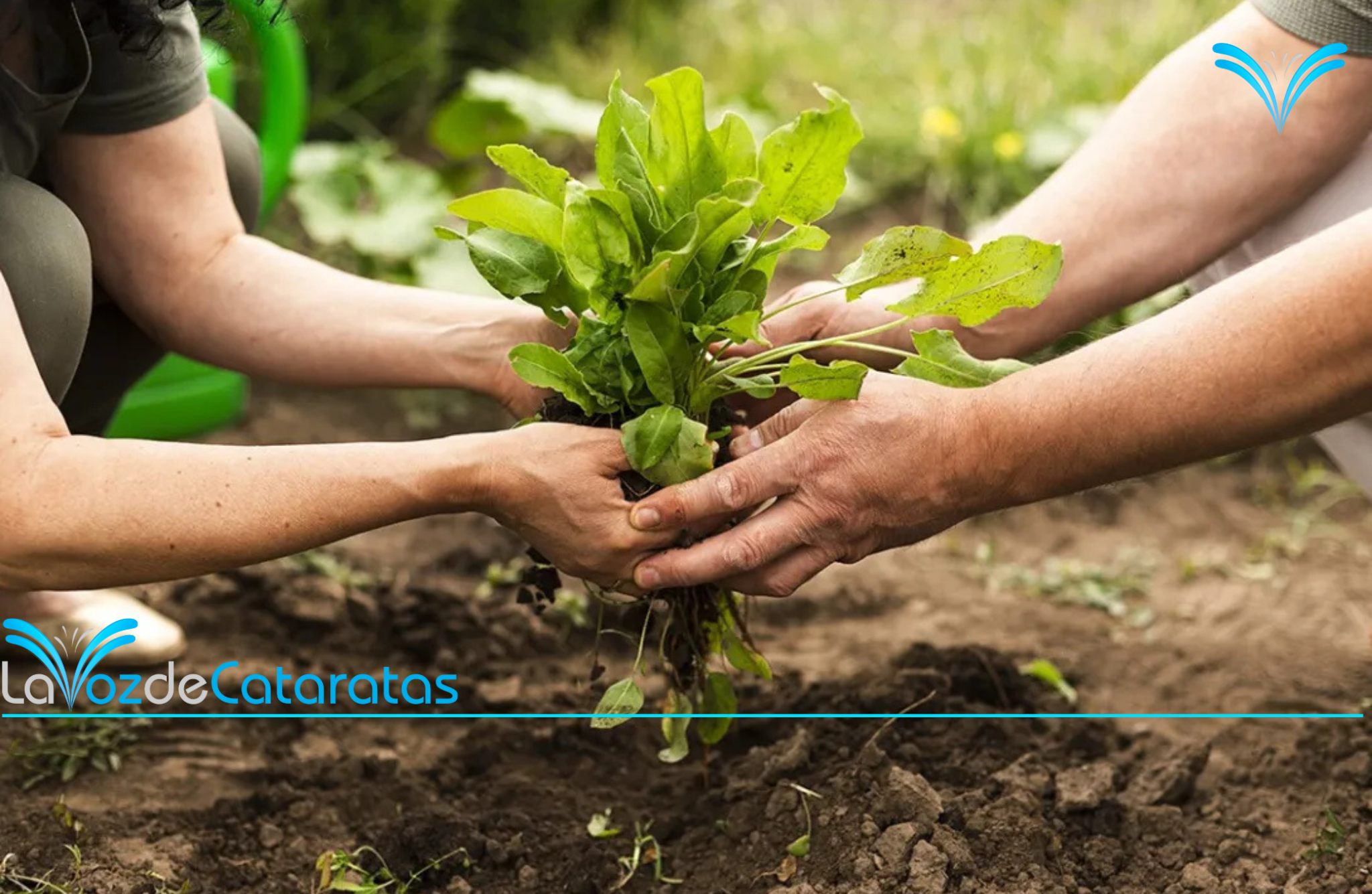 Productores de la zona norte se reunirán en Iguazú para una jornada agroecológica imagen-6