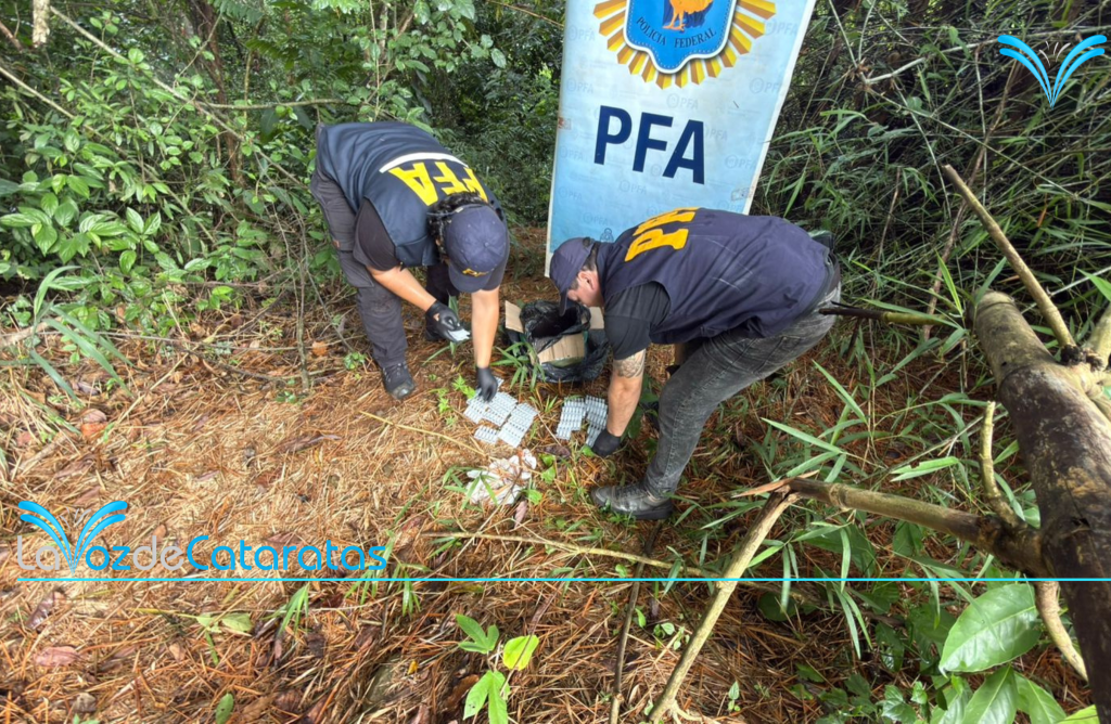La DUOF Iguazú secuestró casi 300 ampollas de fentanilo valuadas en $660 millones imagen-12