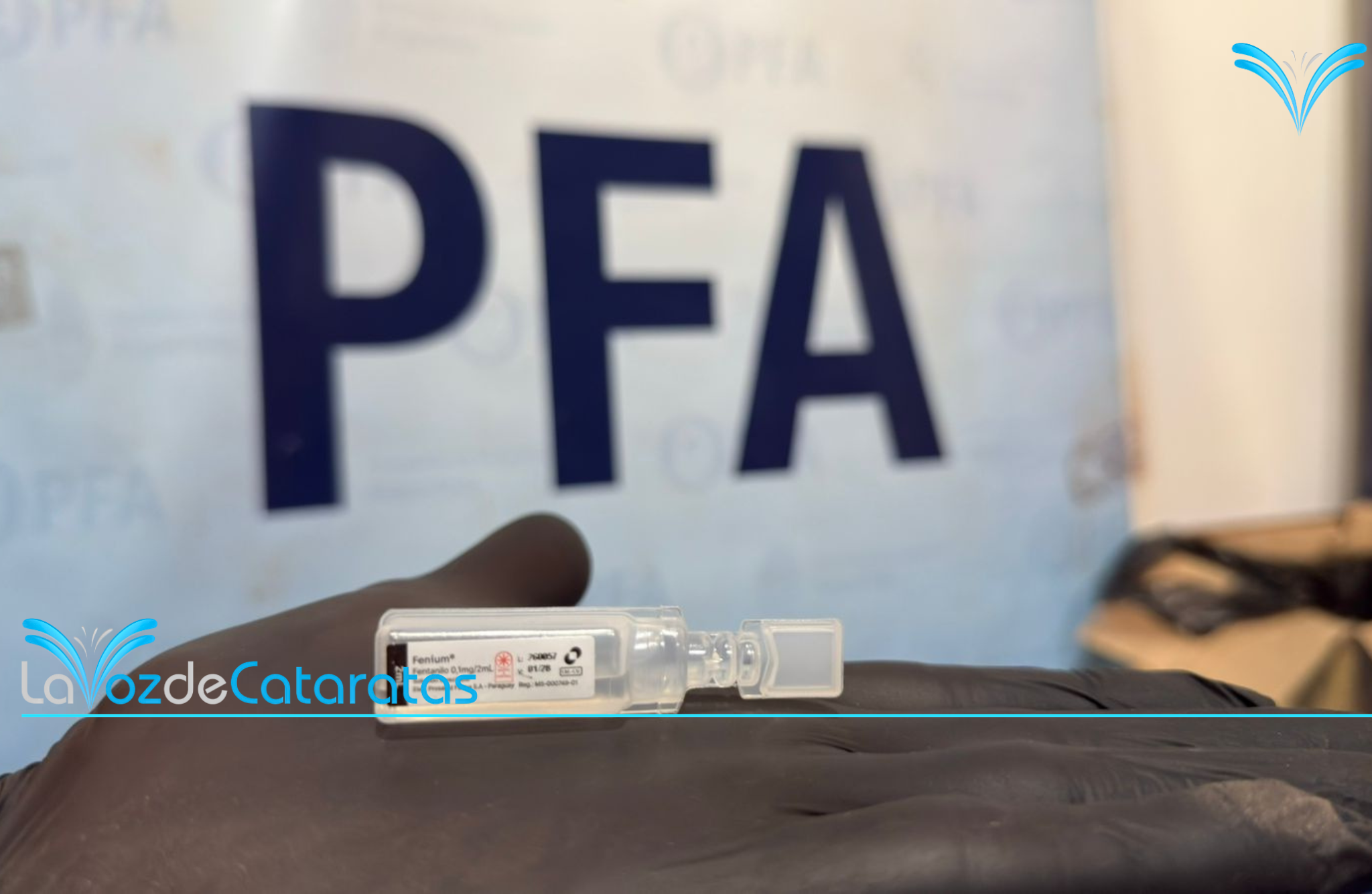 La DUOF Iguazú secuestró casi 300 ampollas de fentanilo valuadas en $660 millones imagen-8