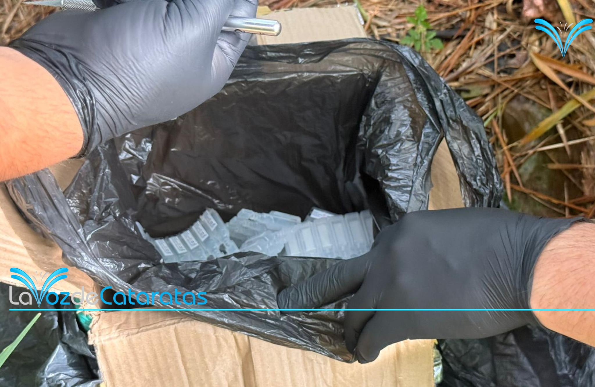 La DUOF Iguazú secuestró casi 300 ampollas de fentanilo valuadas en $660 millones imagen-10