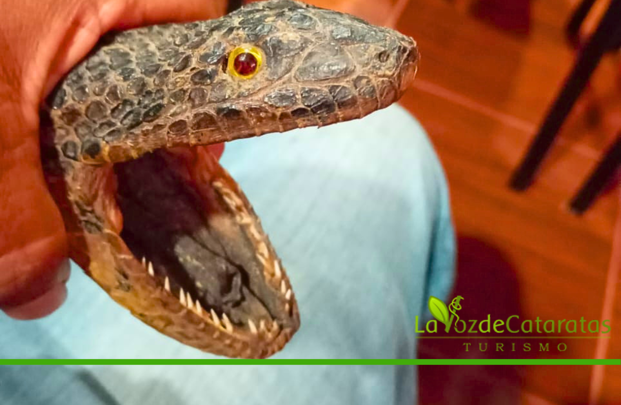 Capacitación para convivir con la fauna y proteger la biodiversidad imagen-10