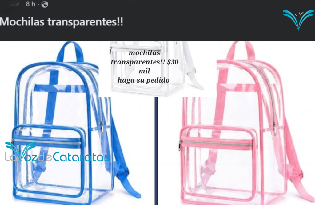 Mochilas transparentes: entre la prevención en las escuelas y el debate por la privacidad imagen-8