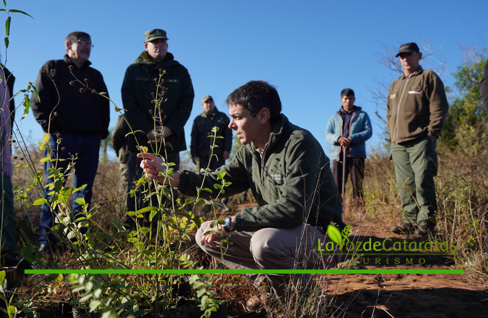 Misiones declaró Monumentos Naturales Provinciales a 12 especies únicas del Teyú Cuaré imagen-5