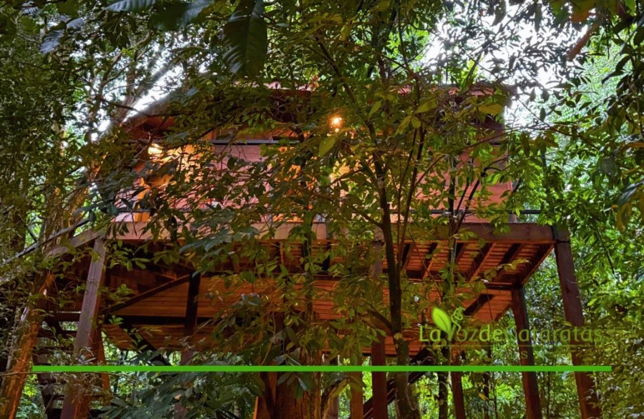 Una noche en una casita del árbol: volver a ser niña en el corazón de la selva en Iguazú imagen-8