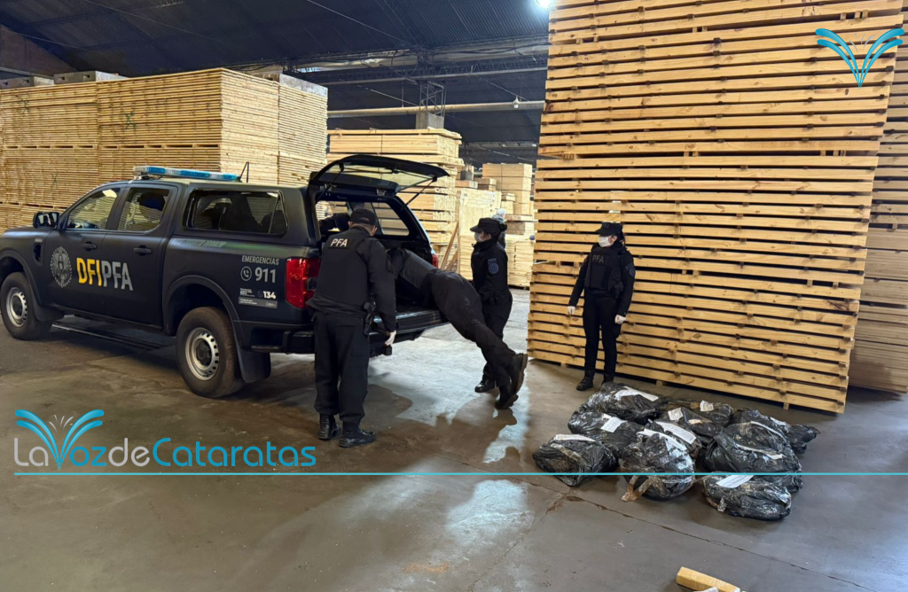 Incineraron una tonelada de marihuana valuada en más de 500 millones de pesos imagen-8