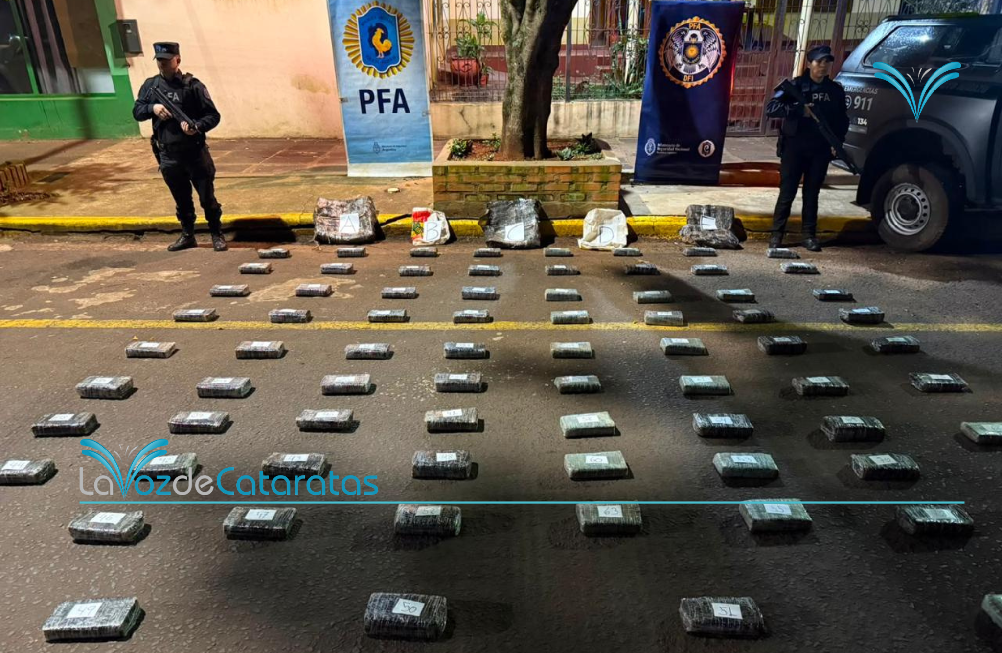Incautaron 96 kilos de marihuana valuados en más de 280 millones de pesos imagen-6