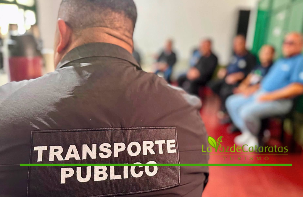 Transporte fronterizo: Iguazú y Ciudad del Este unifican criterios sobre cédula vehicular, patentes y lista de pasajeros 9 Transporte fronterizo: Iguazú y Ciudad del Este unifican criterios sobre cédula vehicular, patentes y lista de pasajeros imagen-8