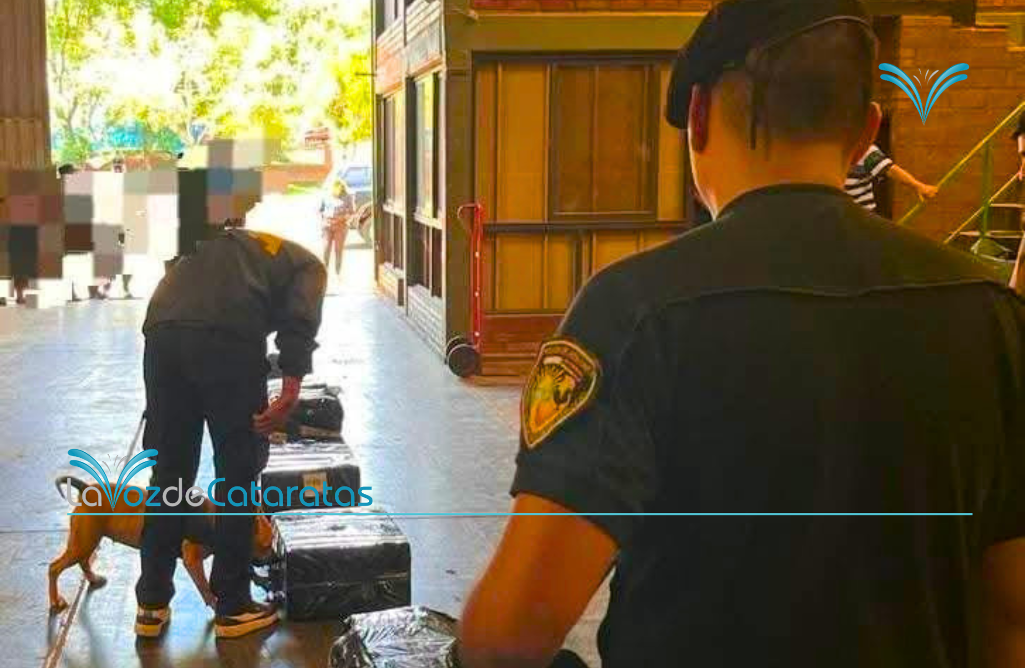 La Justicia Federal ordenó abrir tres encomiendas y hallaron más de 1.300 paquetes de cigarrillos ilegales imagen-6