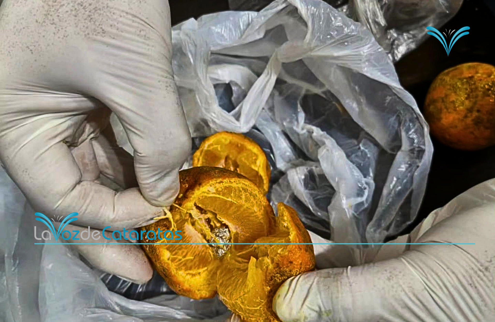 Llevó limones para un detenido y descubrieron que contenían cocaína imagen-6