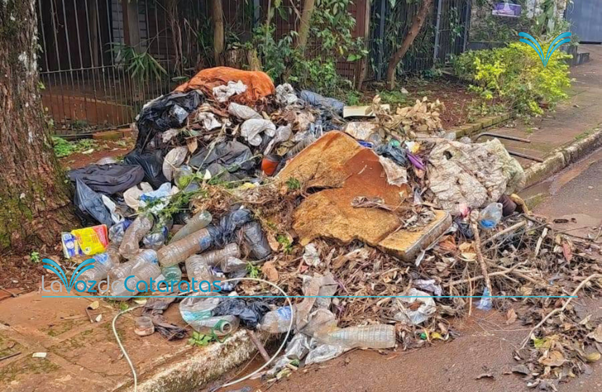 Las denuncias por basura, ruidos molestos y baldíos abandonados superan las 15 por día imagen-6