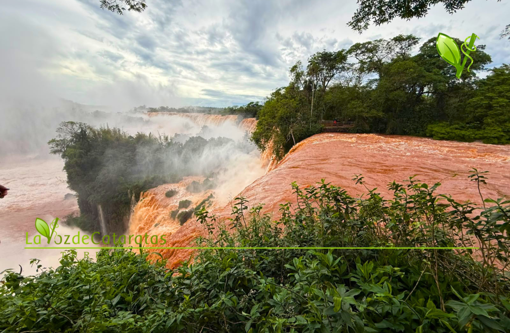 Cataratas: el Parque Nacional Iguazú abrirá este jueves con el Circuito Inferior habilitado imagen-8