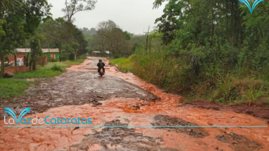 2000 hctareas iguazu