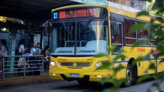 Bondi-03-parada-lauti