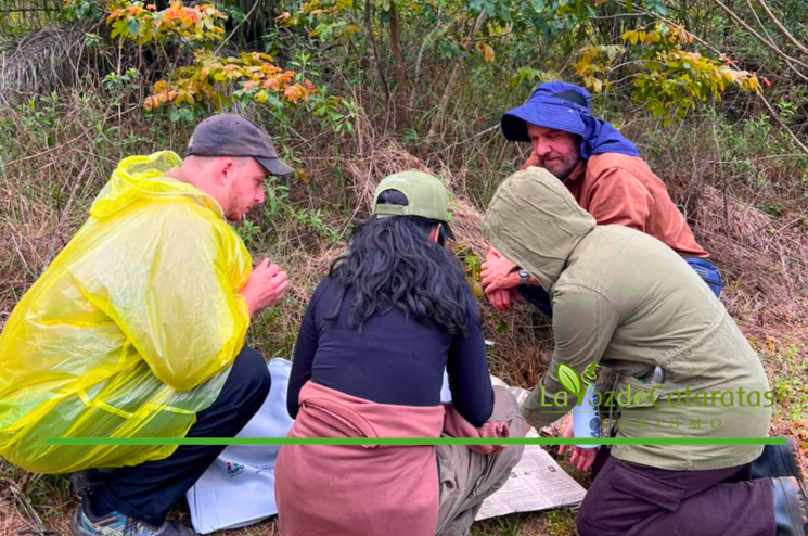 Día de la Botánica aprender a mirar la naturaleza para descubrir la riqueza del reino vegetal (2)