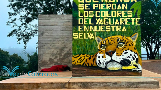 Durmiendo en la calle iguazu 3