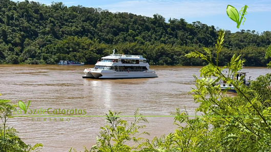 El sueño llegó a puerto el Vencejo ya está en Iguazú (1)