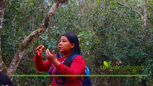 Estudiantes mbya se capacitan para interpretar las Cataratas desde la cosmovisión guaraní