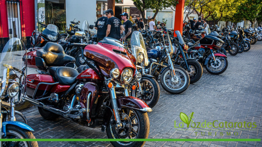 Harley Davidson