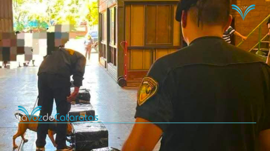 La Justicia Federal ordenó abrir tres encomiendas y hallaron más de 1.300 paquetes de cigarrillos ilegales (1)