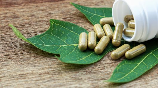 La naturaleza nos provee de muchos compuestos para nuestros medicamentos y otros beneficios (1)