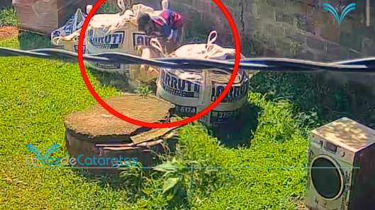Luego de viralizarse un video en LavozDeCataratas permitió identificar y detener a un joven