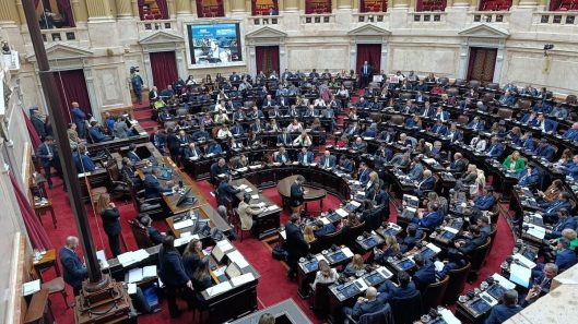 Nueva Ley de Discapacidad Diputados dio media sanción y el proyecto pasó al Senado