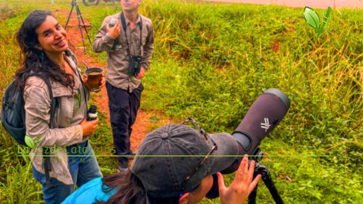 Observar para conservar un nuevo club invita a descubrir las aves de la Selva Misionera