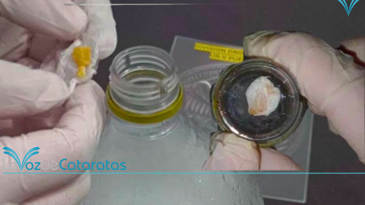 Ocultó cocaína en la tapa de una botella con hielo iguazu (2)