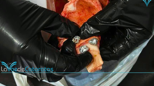 Ocultó cocaína en un trozo de carne iguazu