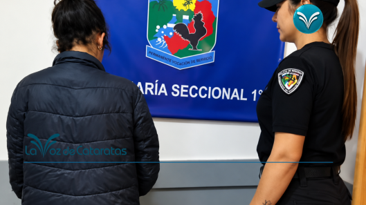 Robó luminarias de un hotel terminó detenida