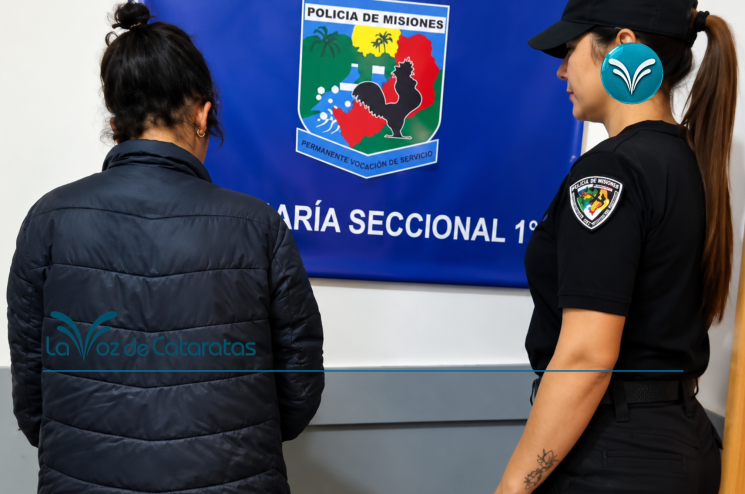 Robó luminarias de un hotel terminó detenida