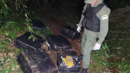 Secuestraron 217 kilos de marihuana que fueron abandonados en una zona montuosa (1)