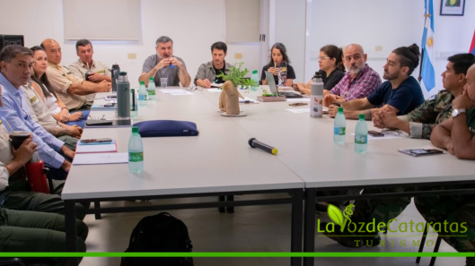 Un nuevo estrógeno de acción selectiva, promete revolucionar las técnicas anticonceptivas (11)
