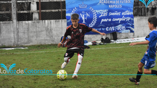 Un nuevo estrógeno de acción selectiva, promete revolucionar las técnicas anticonceptivas (2)