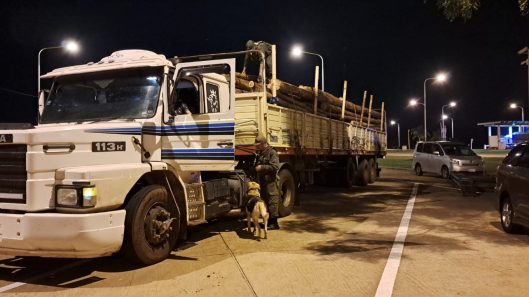 WhatsApp Image 2023-07-25 at 12.56.24